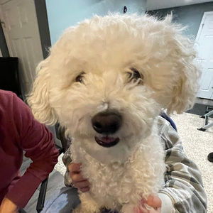 Meet your Posher, Elise